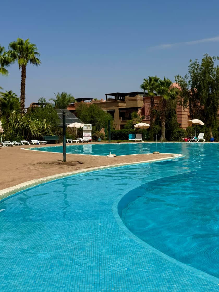 Piscine commune de la résidence bordée de palmiers, transats et parasols